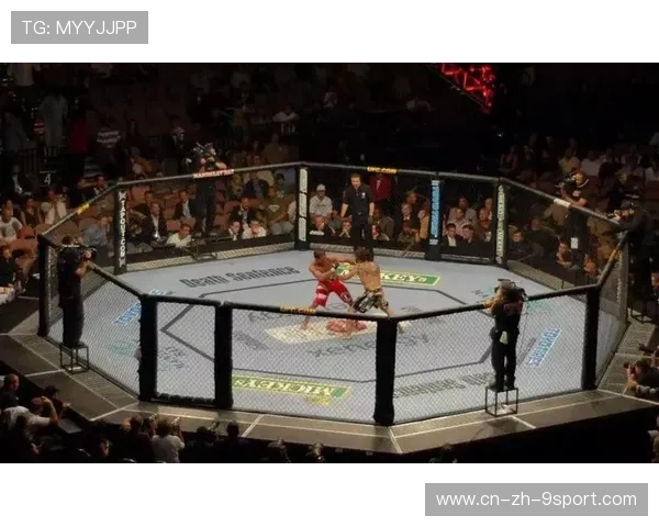 UFC重量级选手在地面防守中表现更为稳固